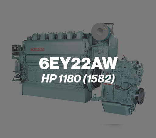 6ey22