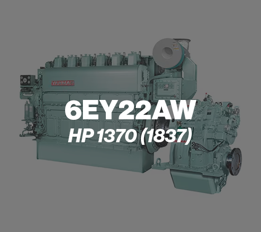 6ey22