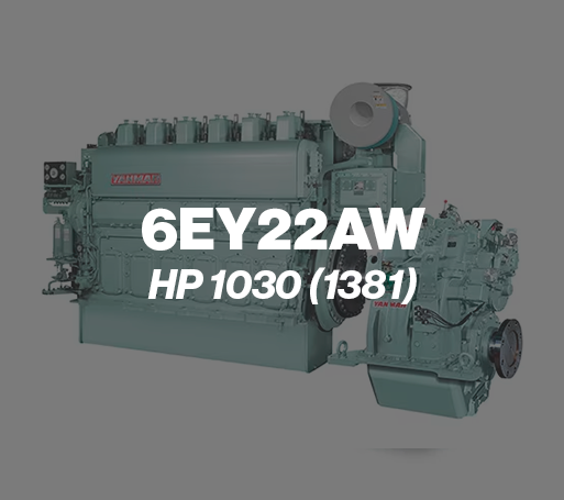 6ey22