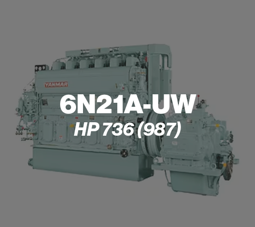 6n21